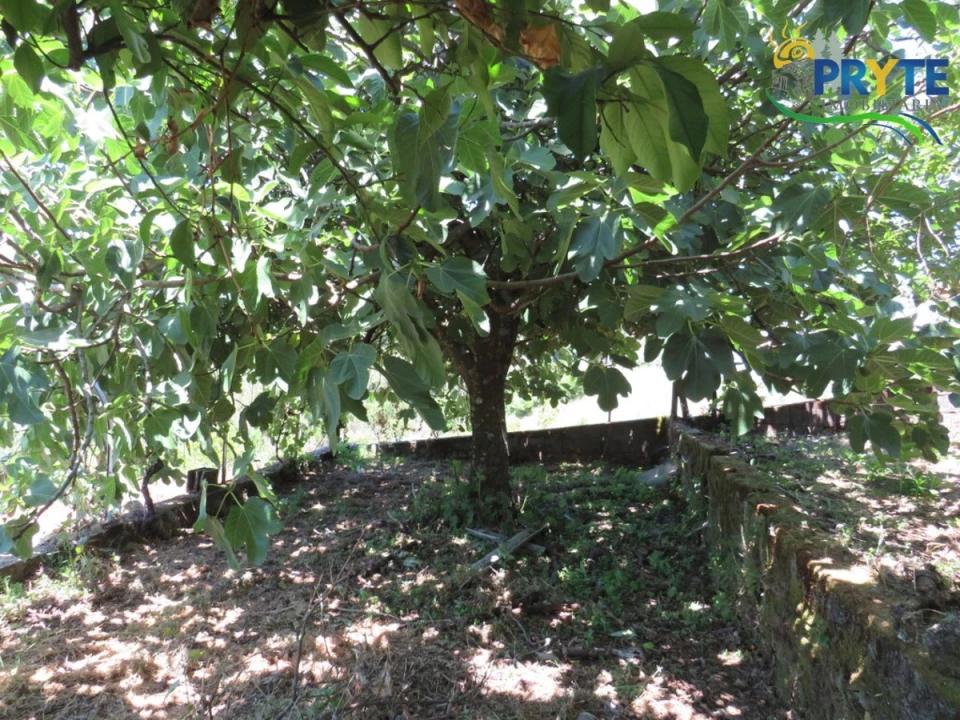 Moradia T3 para Venda em Sertã Foto 54