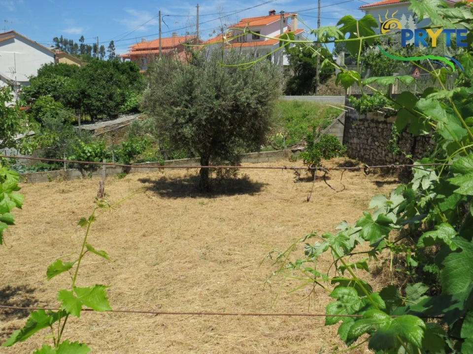 Moradia T3 para Venda em Sertã Foto 58