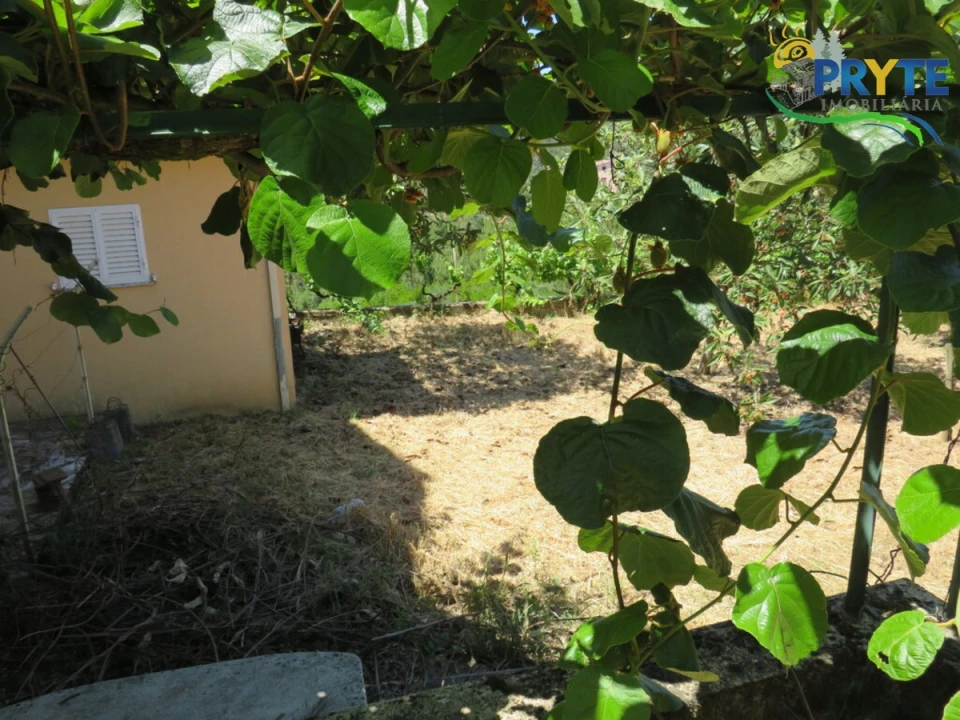 Moradia T3 para Venda em Sertã Foto 60