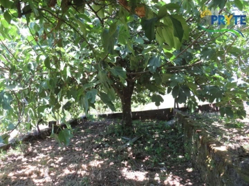 Moradia T3 para Venda em Sertã