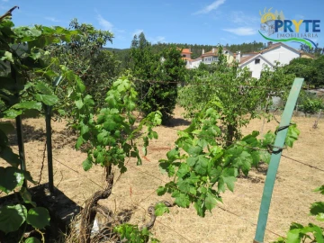Moradia T3 para Venda em Sertã