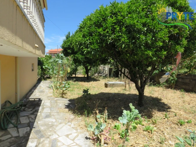 Moradia T3 para Venda em Sertã Foto 50