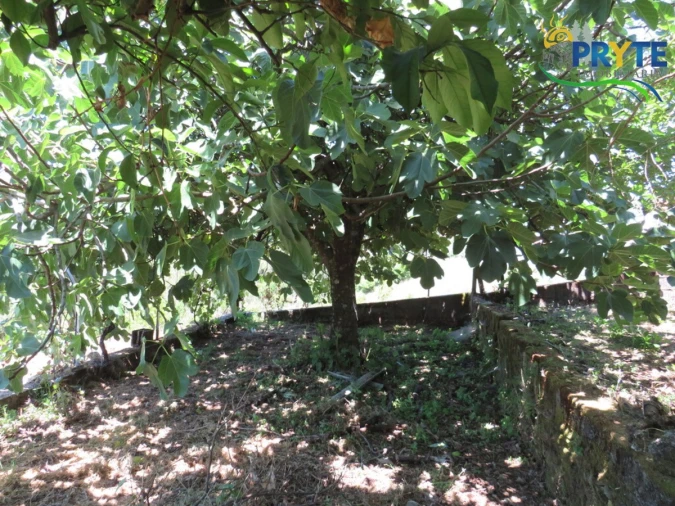 Moradia T3 para Venda em Sertã Foto 54