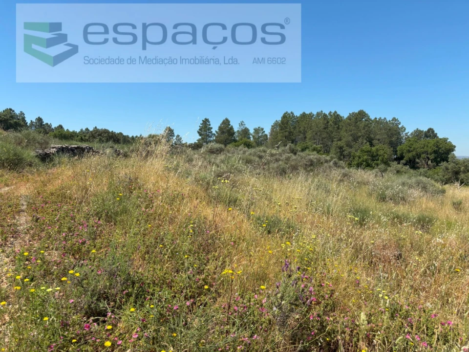 Terreno para Venda em Benquerenças Foto 10