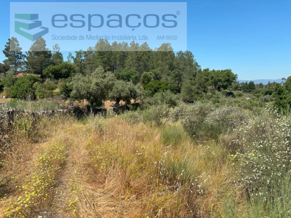 Terreno para Venda em Benquerenças Foto 11