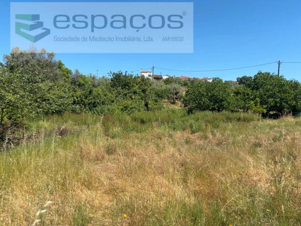 Terreno para Venda em Benquerenças Foto 14