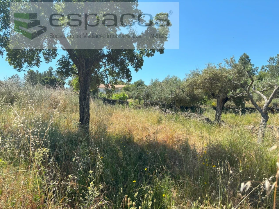 Terreno para Venda em Benquerenças Foto 16