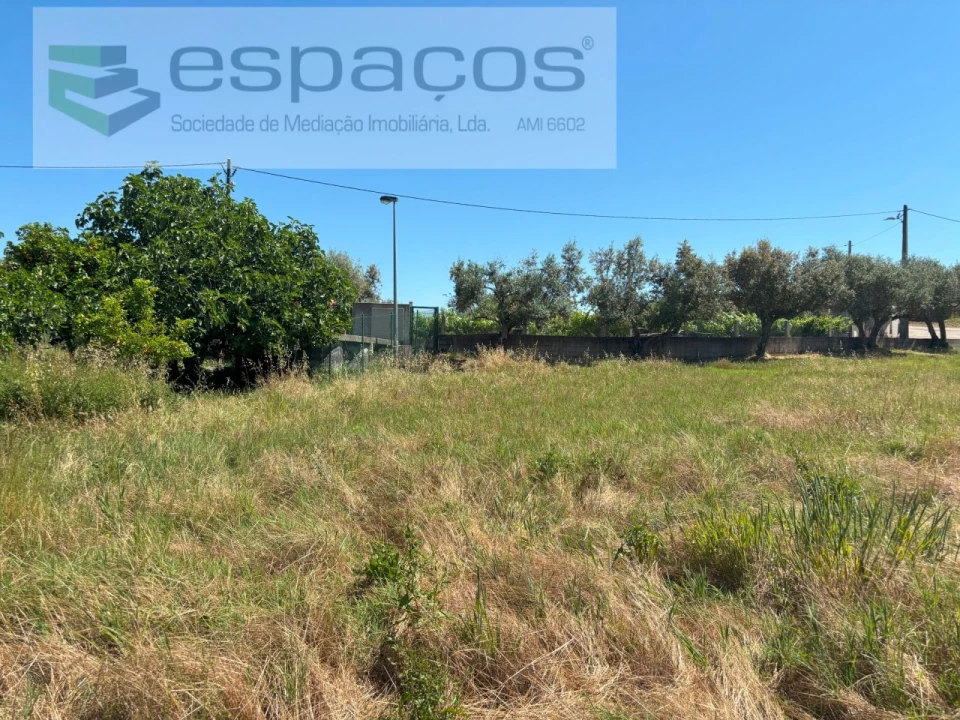 Terreno para Venda em Benquerenças Foto 17