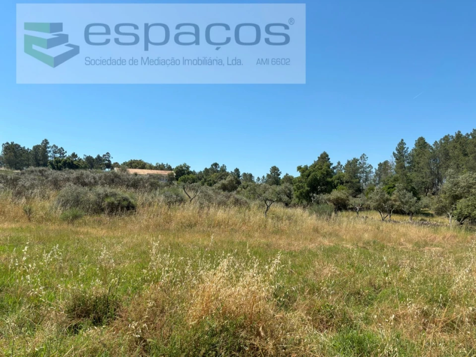 Terreno para Venda em Benquerenças Foto 18