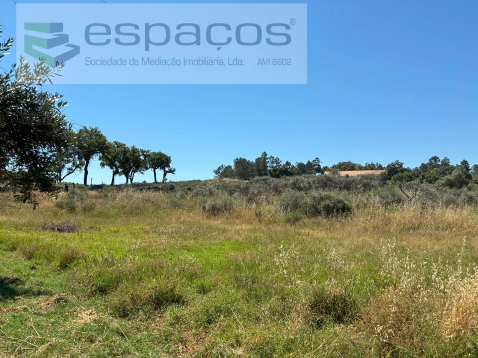 Terreno para Venda em Benquerenças Foto 19