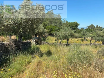 Terreno para Venda em Benquerenças