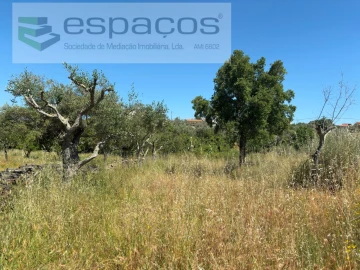 Terreno para Venda em Benquerenças