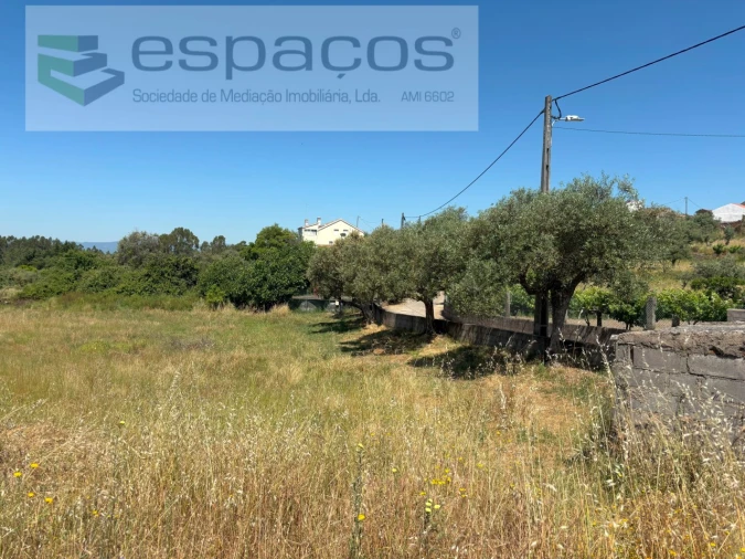 Terreno para Venda em Benquerenças Foto 8
