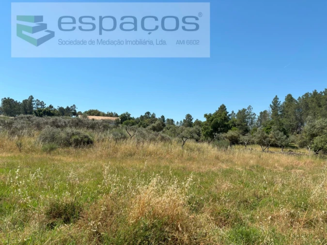 Terreno para Venda em Benquerenças Foto 18