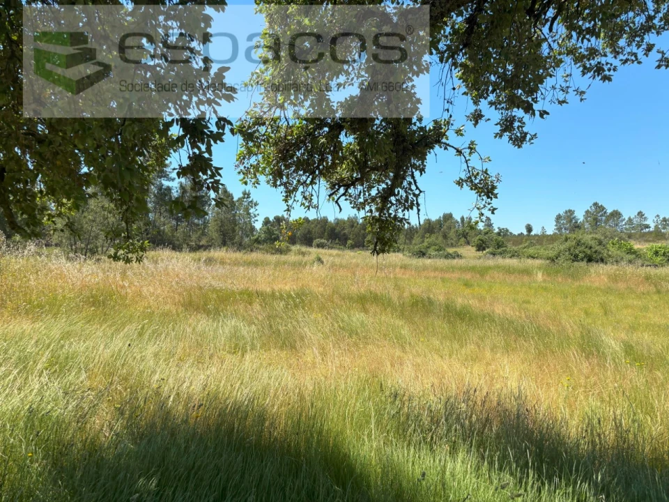 Terreno para Venda em Benquerenças Foto 2