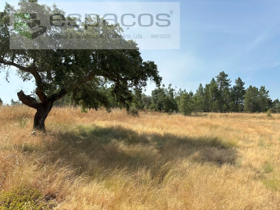 Terreno para Venda em Benquerenças Foto 1