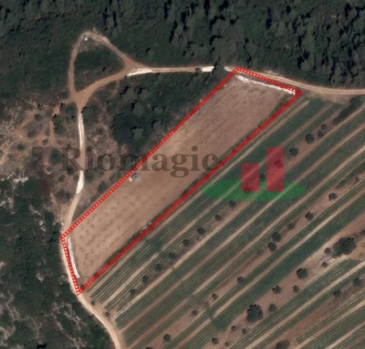 Terreno Agricola ou Rústico para Venda em Outeiro da Cortiçada e Arruda dos Pisões Foto 1