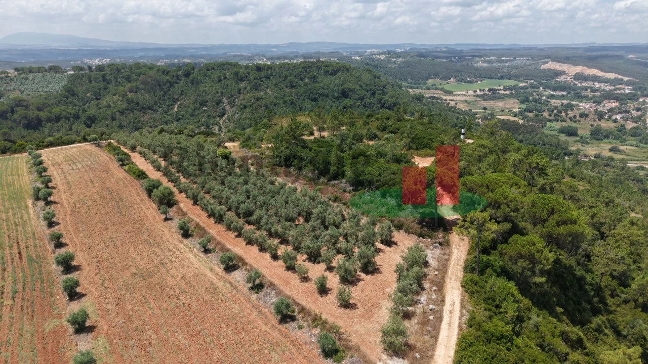 Terreno Agricola ou Rústico para Venda em Outeiro da Cortiçada e Arruda dos Pisões Foto 2