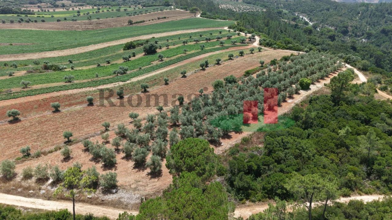 Terreno Agricola ou Rústico para Venda em Outeiro da Cortiçada e Arruda dos Pisões Foto 3