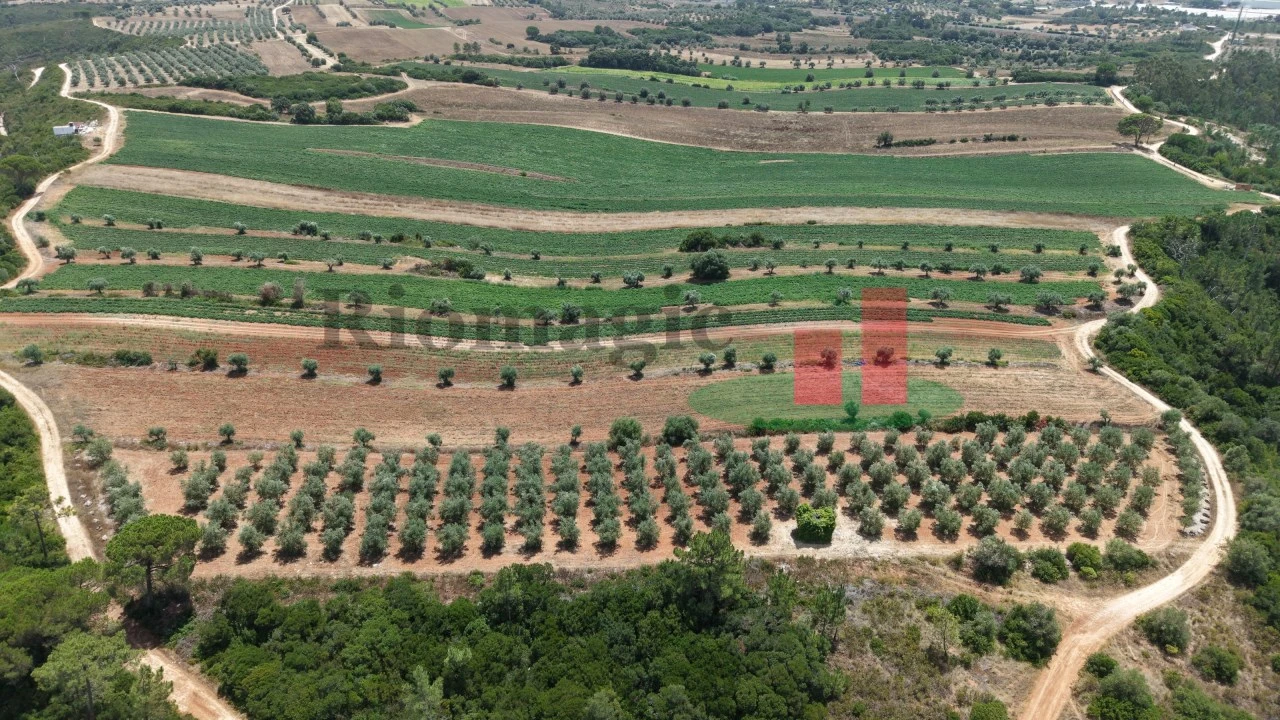 Terreno Agricola ou Rústico para Venda em Outeiro da Cortiçada e Arruda dos Pisões Foto 4
