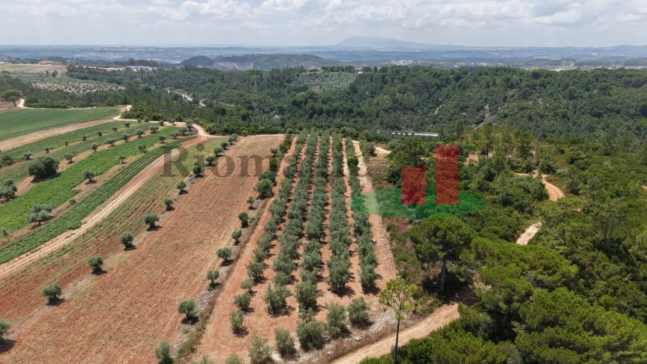Terreno Agricola ou Rústico para Venda em Outeiro da Cortiçada e Arruda dos Pisões Foto 6