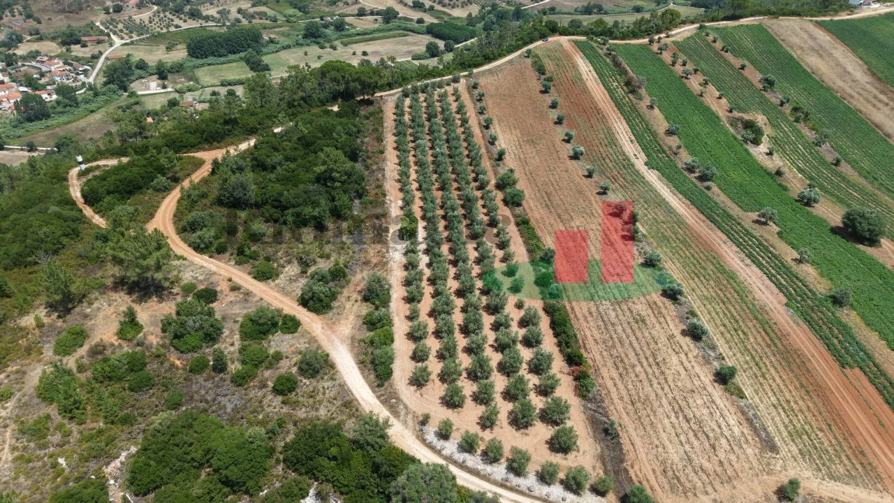 Terreno Agricola ou Rústico para Venda em Outeiro da Cortiçada e Arruda dos Pisões Foto 8