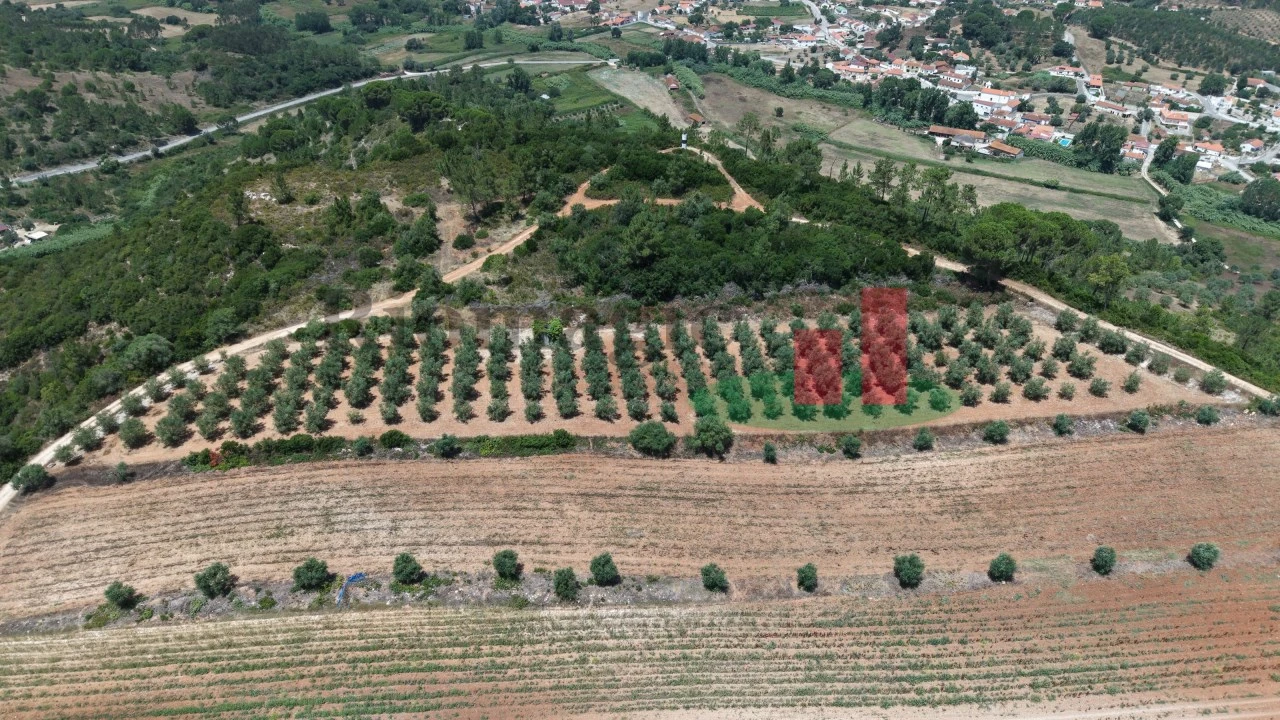 Terreno Agricola ou Rústico para Venda em Outeiro da Cortiçada e Arruda dos Pisões Foto 9