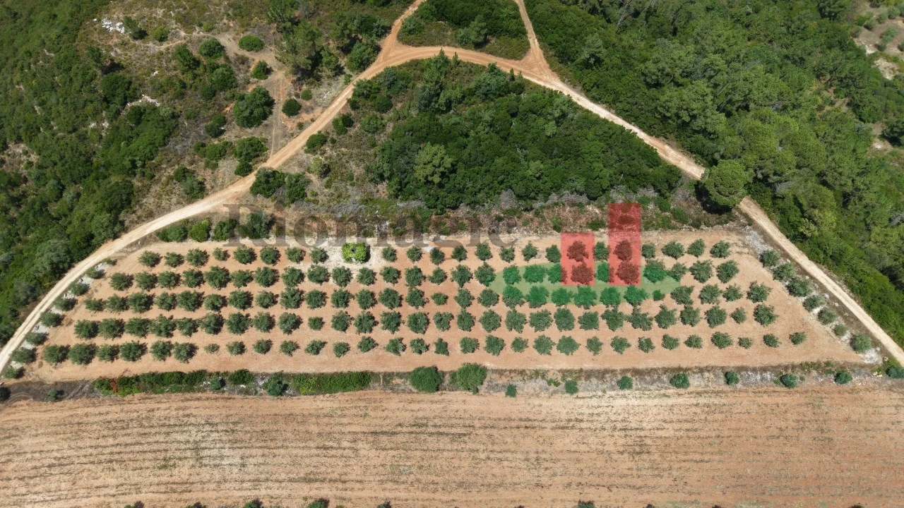 Terreno Agricola ou Rústico para Venda em Outeiro da Cortiçada e Arruda dos Pisões Foto 10
