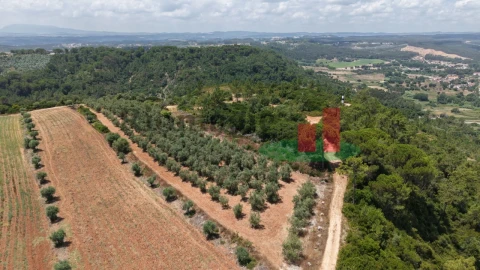 Terreno Agricola ou Rústico para Venda em Outeiro da Cortiçada e Arruda dos Pisões