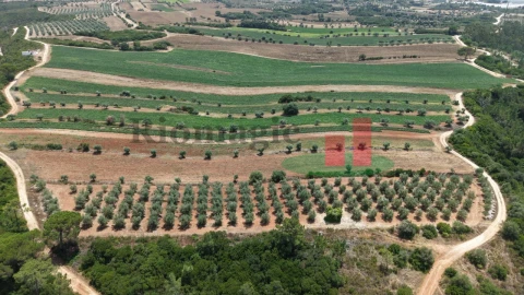 Terreno Agricola ou Rústico para Venda em Outeiro da Cortiçada e Arruda dos Pisões