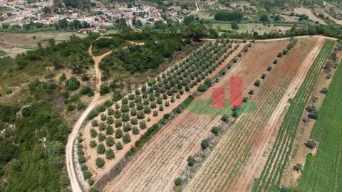 Terreno Agricola ou Rústico para Venda em Outeiro da Cortiçada e Arruda dos Pisões
