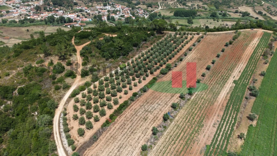 Terreno Agricola ou Rústico para Venda em Outeiro da Cortiçada e Arruda dos Pisões Foto 7