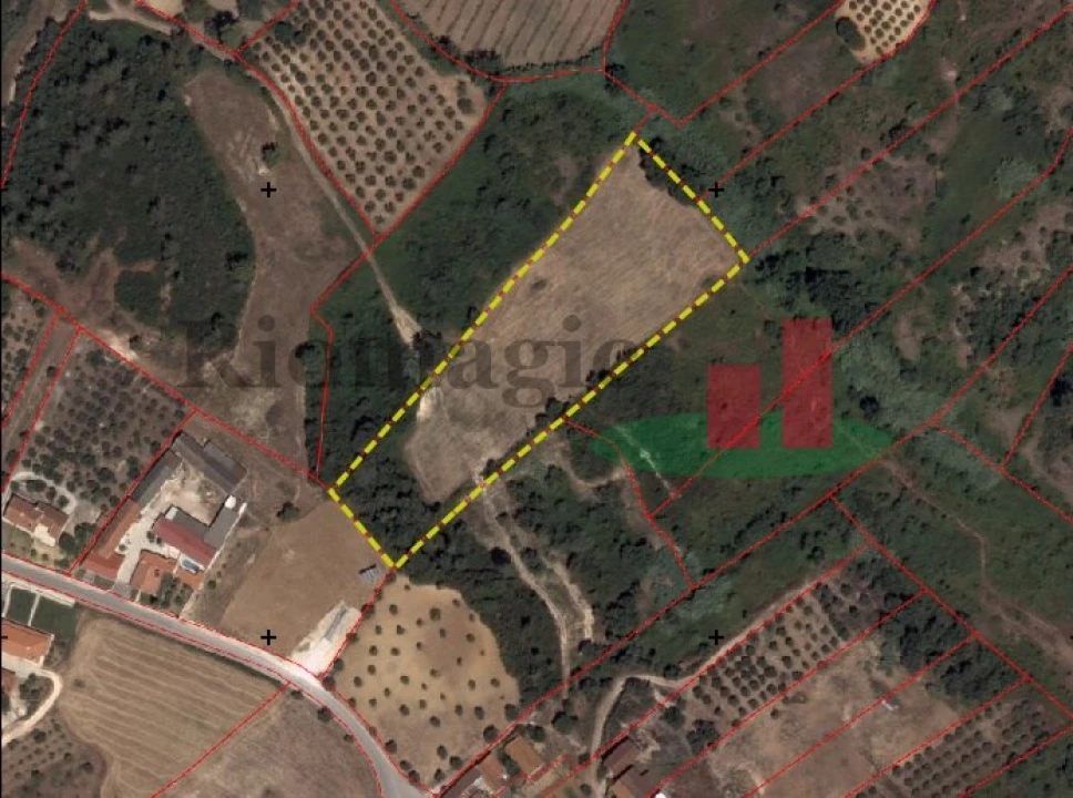 Terreno Agricola ou Rústico para Venda em Azambujeira e Malaqueijo Foto 1