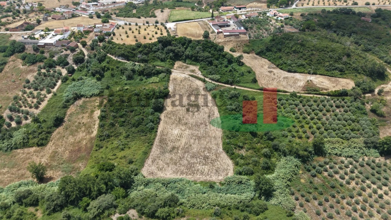 Terreno Agricola ou Rústico para Venda em Arrouquelas Foto 4
