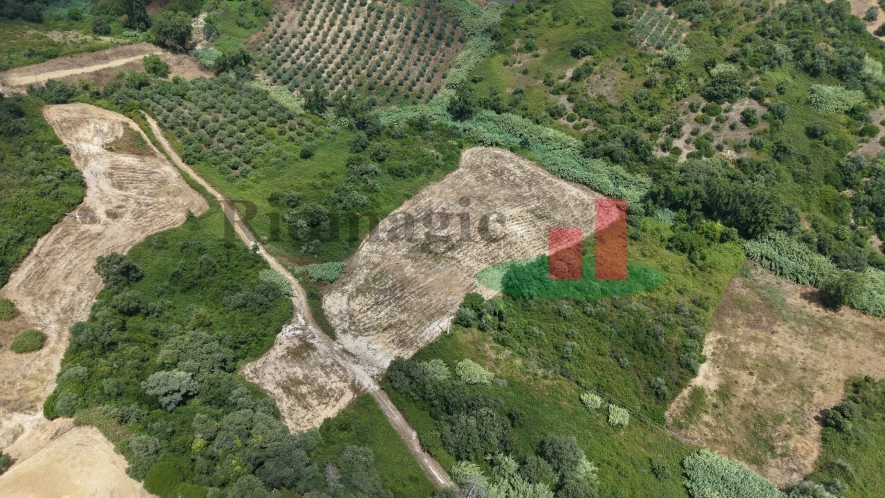 Terreno Agricola ou Rústico para Venda em Arrouquelas Foto 6