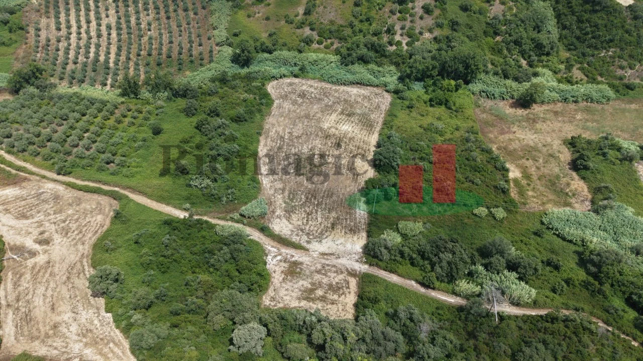 Terreno Agricola ou Rústico para Venda em Arrouquelas Foto 7
