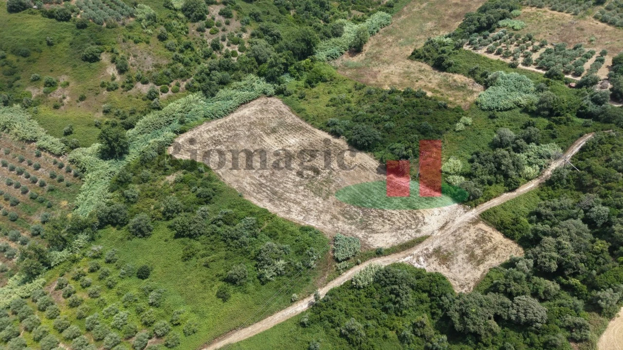 Terreno Agricola ou Rústico para Venda em Arrouquelas Foto 8