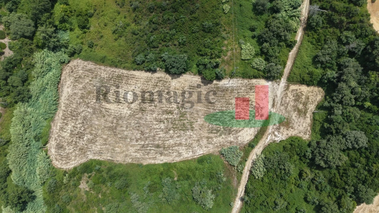 Terreno Agricola ou Rústico para Venda em Arrouquelas Foto 9
