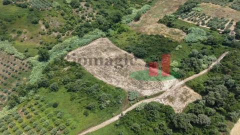 Terreno Agricola ou Rústico para Venda em Arrouquelas