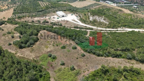 Terreno Agricola ou Rústico para Venda em Azambujeira e Malaqueijo