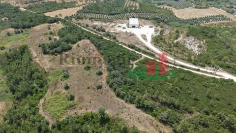 Terreno Agricola ou Rústico para Venda em Azambujeira e Malaqueijo