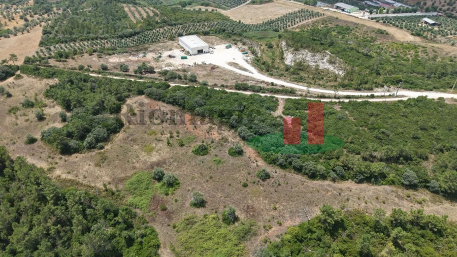 Terreno Agricola ou Rústico para Venda em Azambujeira e Malaqueijo Foto 3