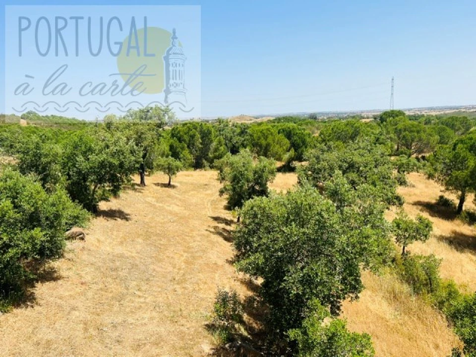 Quinta T4 para Venda em Ourique Foto 27