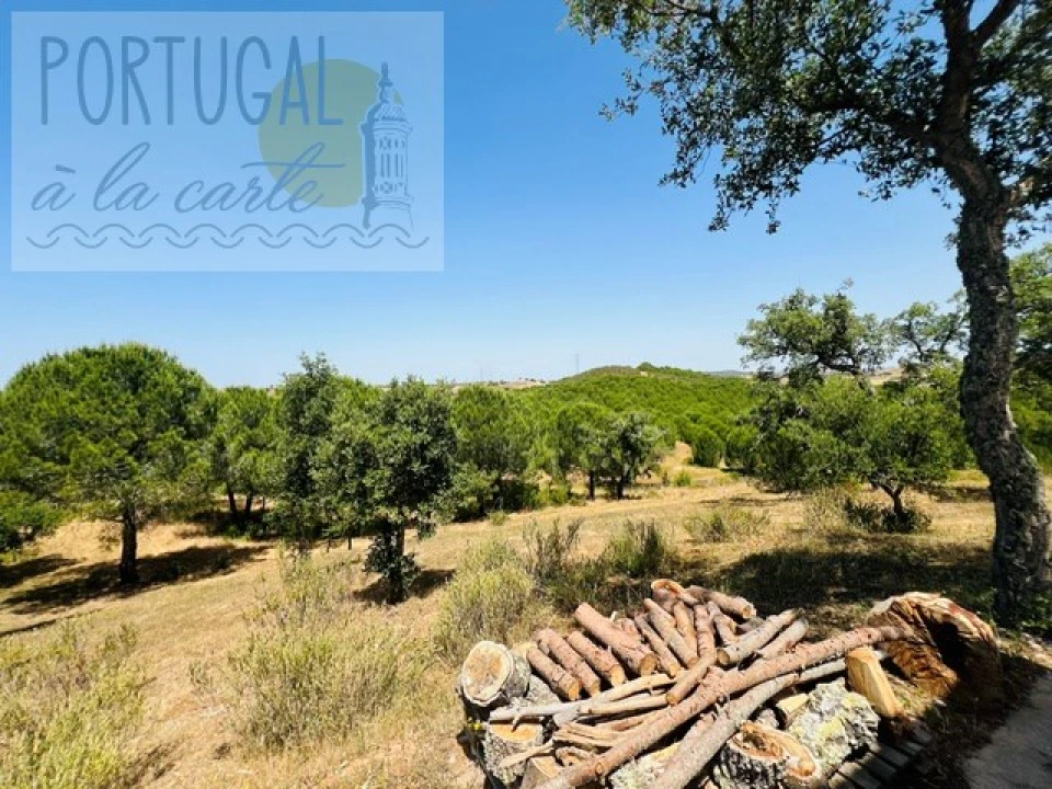 Quinta T4 para Venda em Ourique Foto 29