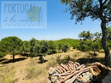 Quinta T4 para Venda em Ourique