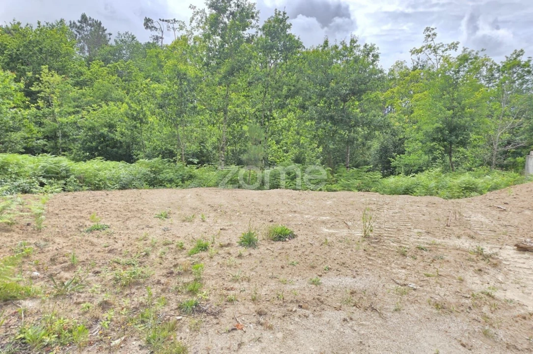 Terreno para Venda em Fiscal Foto 6