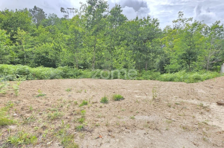 Terreno para Venda em Fiscal Foto 3