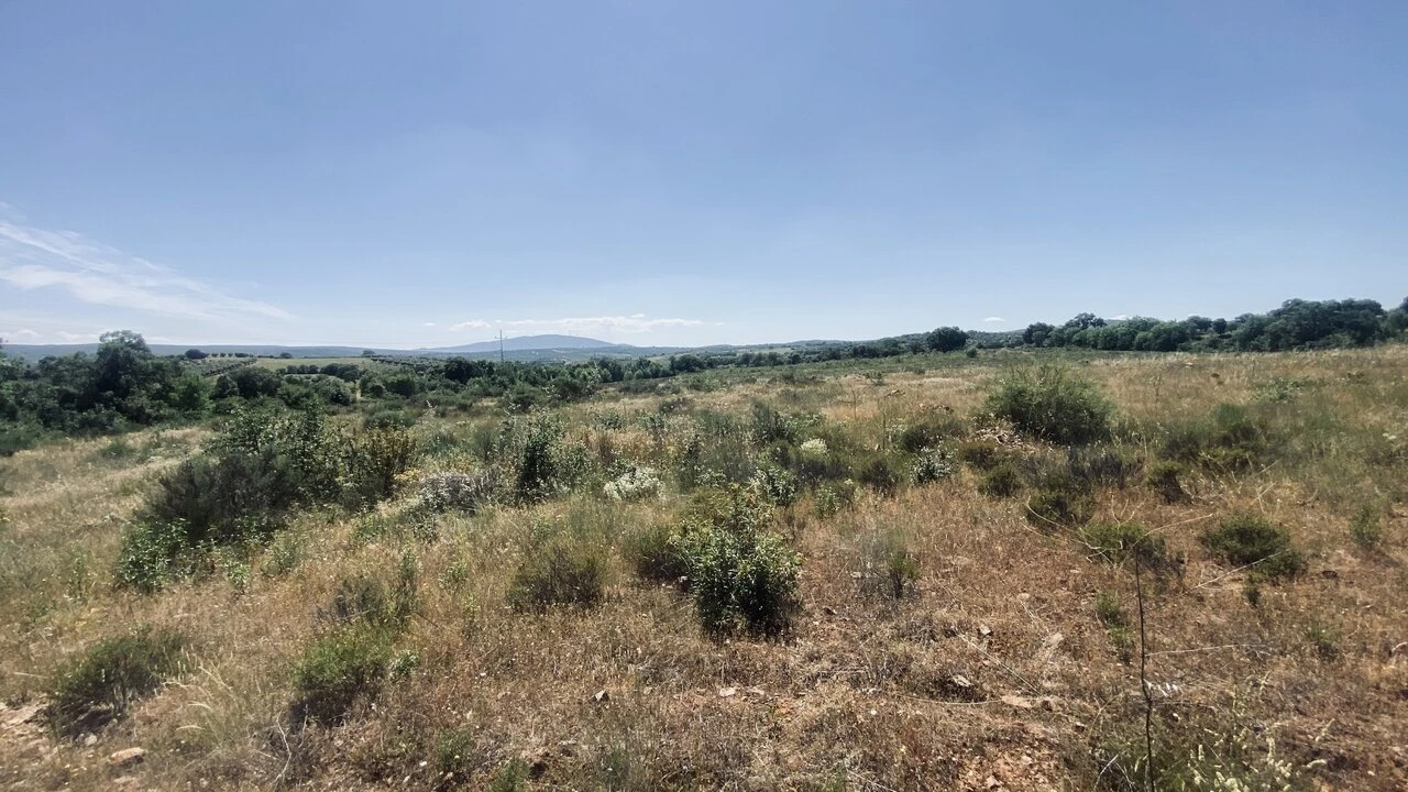 Terreno para Venda em Talhinhas e Bagueixe Foto 3