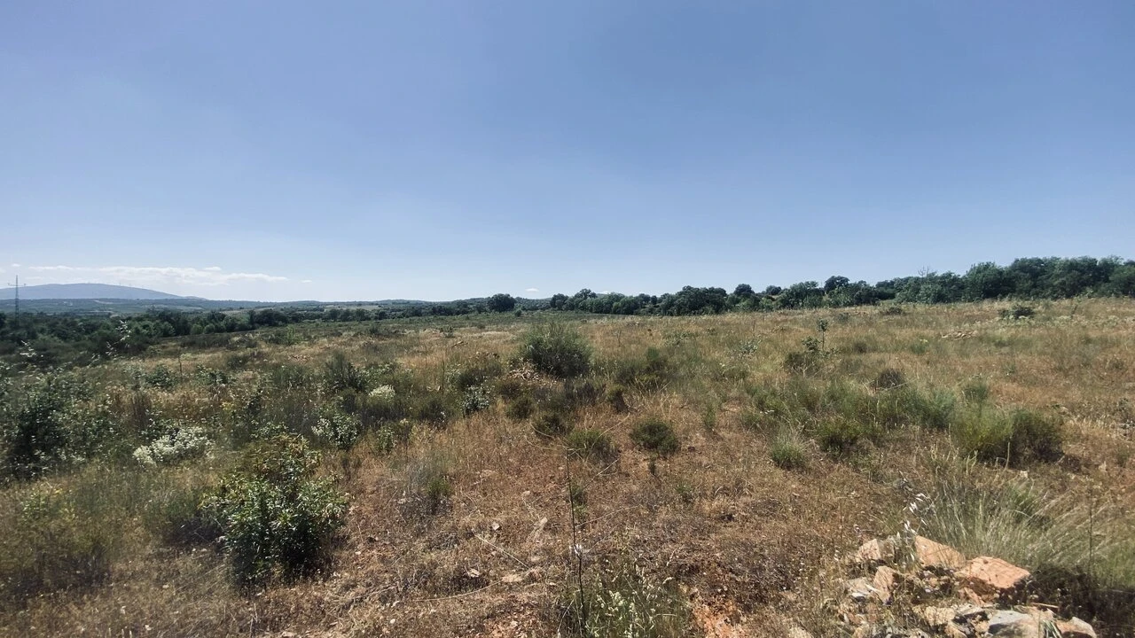 Terreno para Venda em Talhinhas e Bagueixe Foto 4