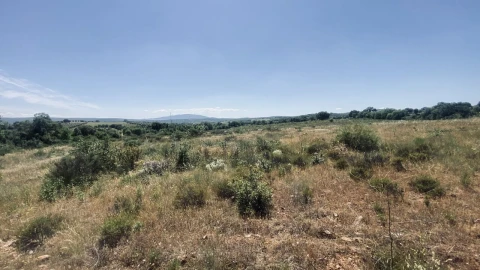 Terreno para Venda em Talhinhas e Bagueixe